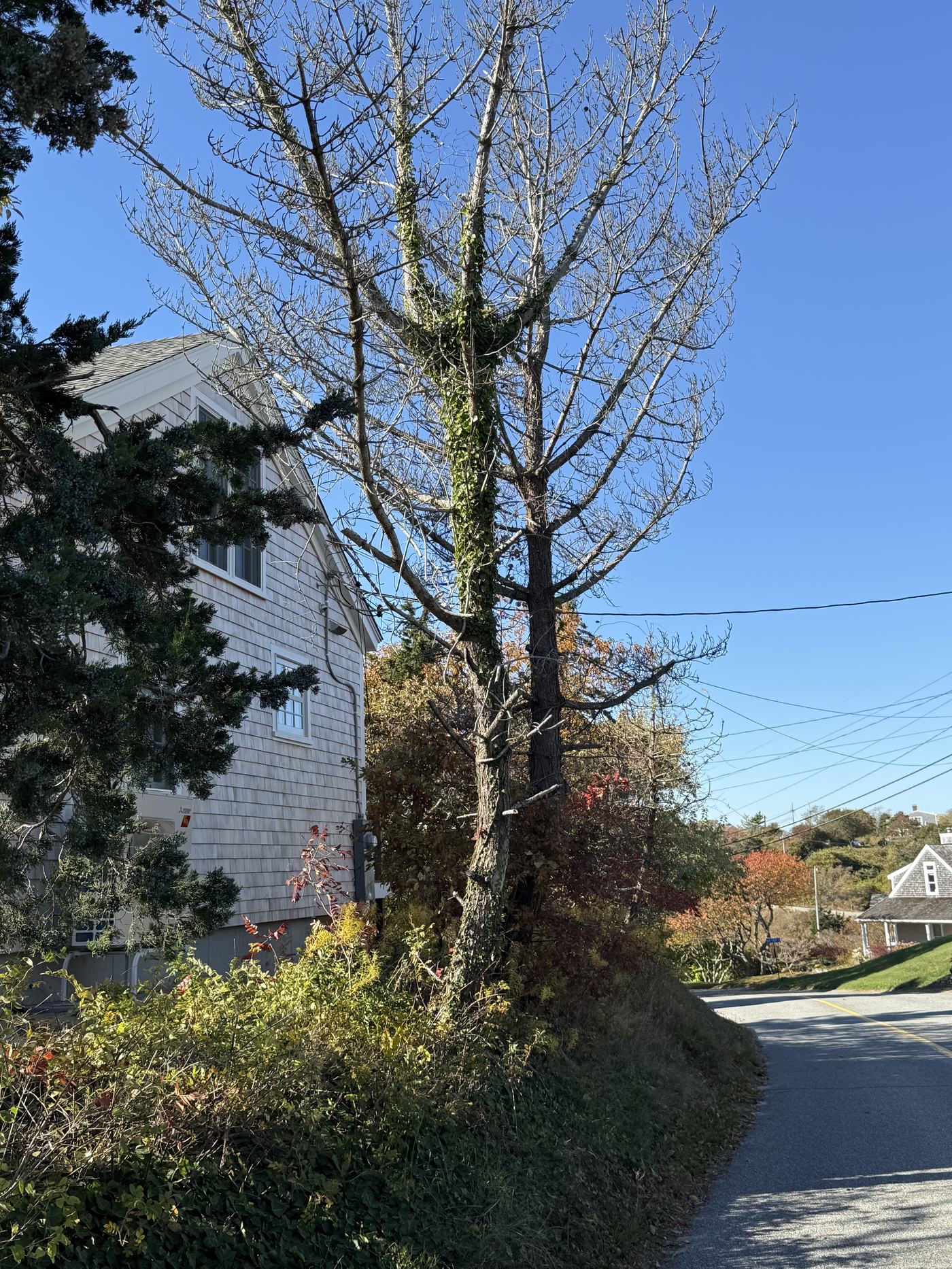 Entrance and grounds approach at 9 Bay View Road