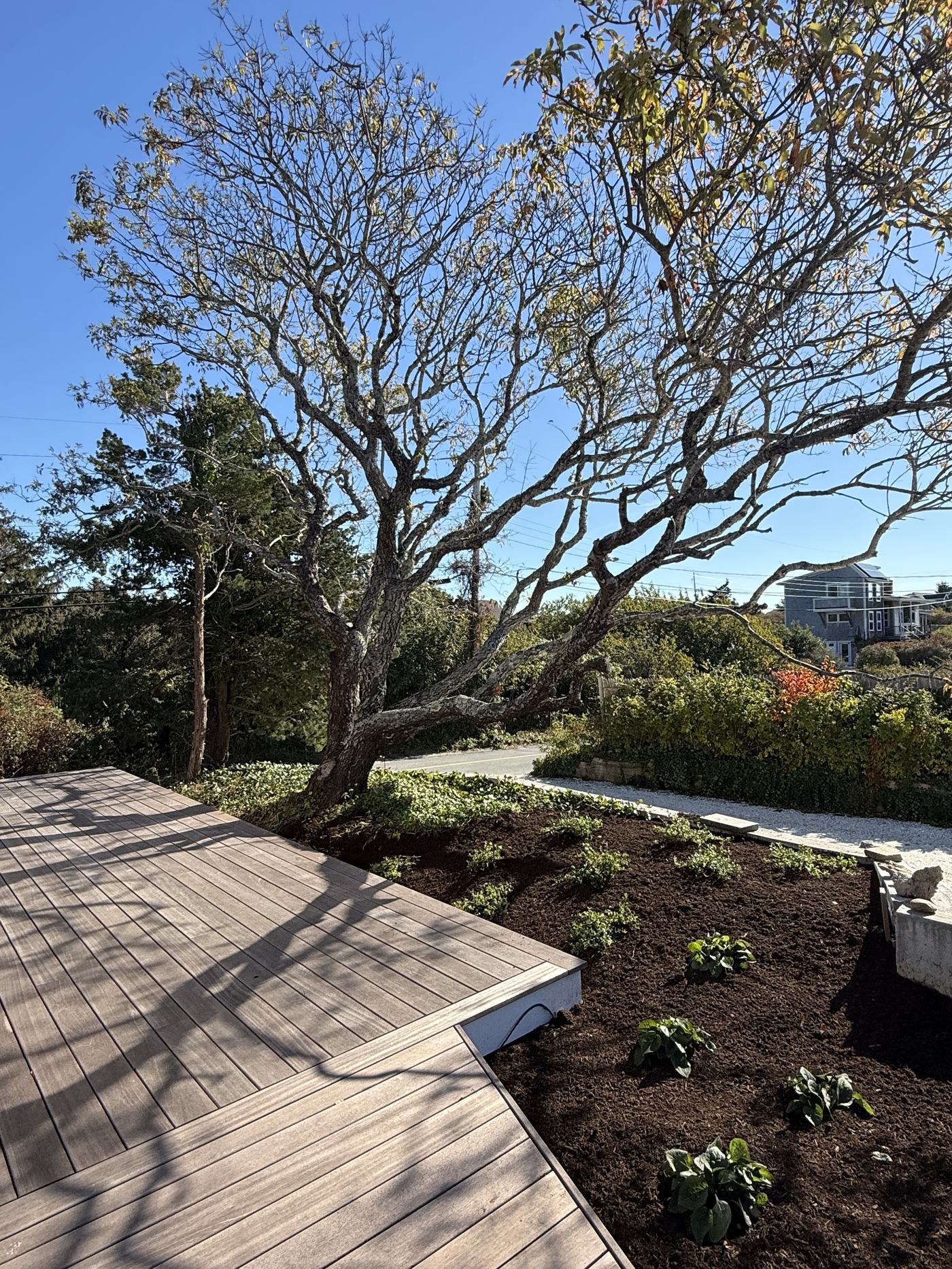 Landscaped property grounds at 9 Bay View Road